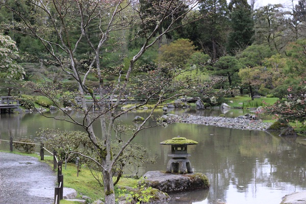 Seattle Japanese Garden landscape